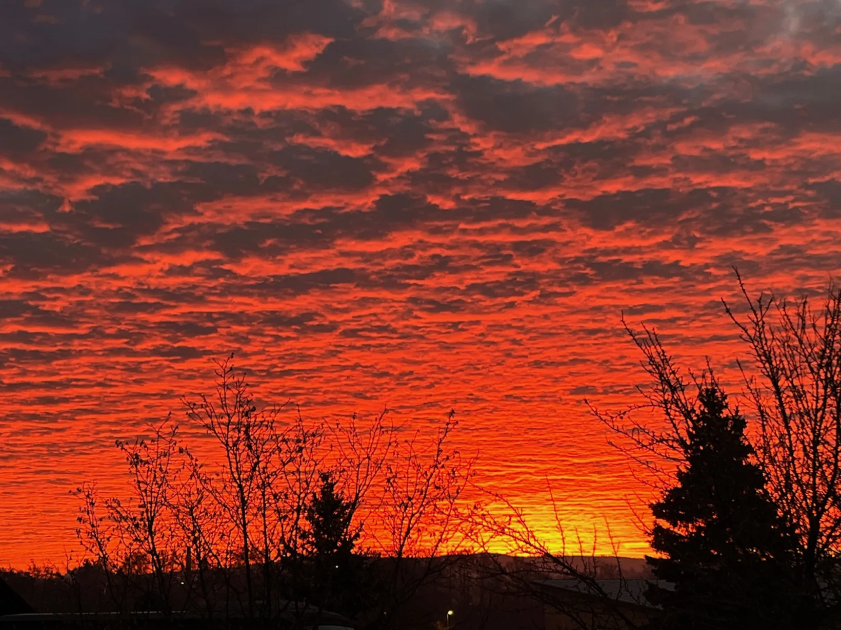 Main image of article