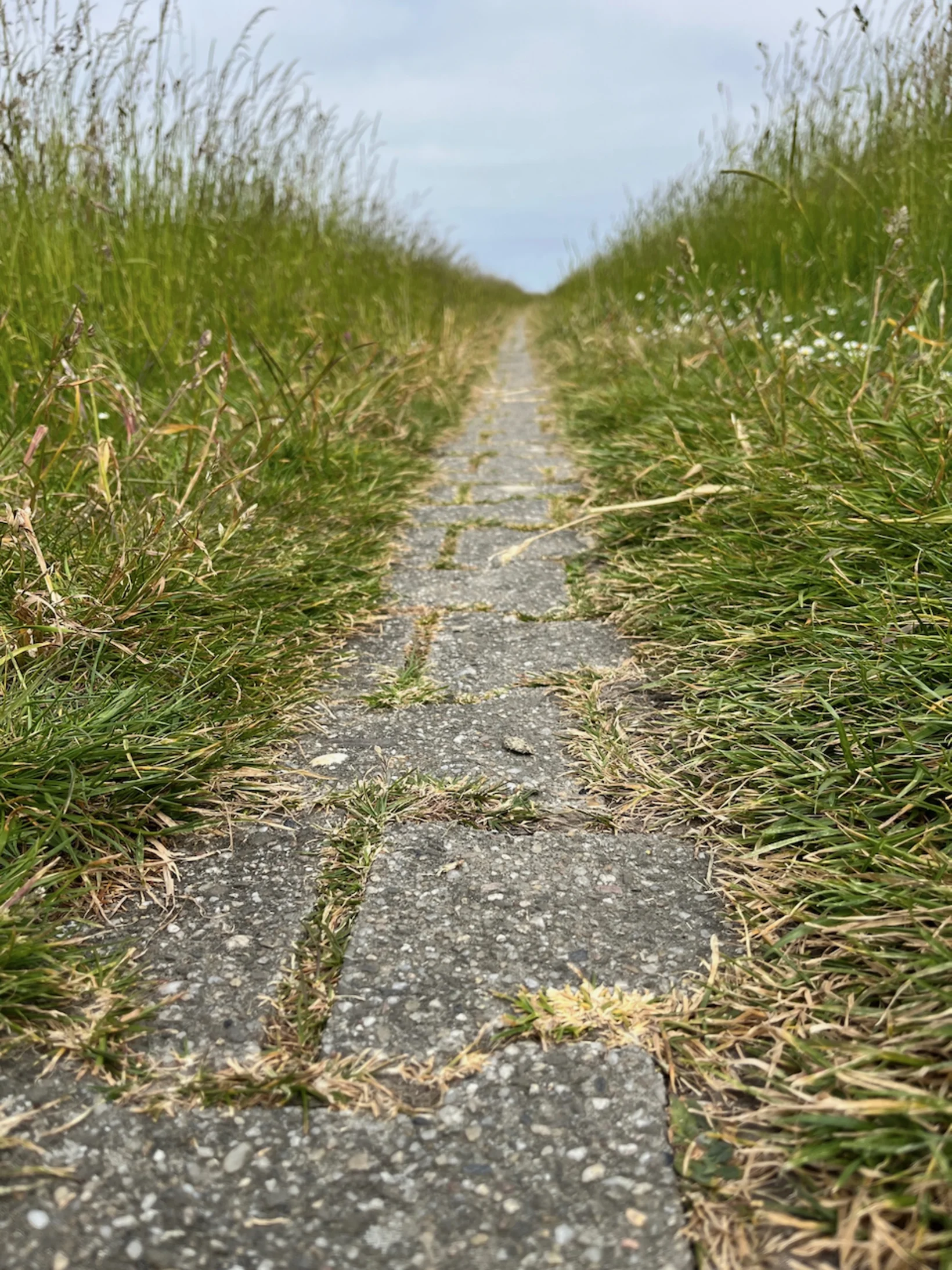 Main image of article